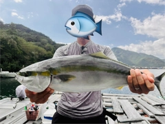 メジロの釣果