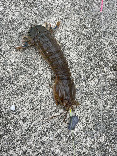気仙沼湾