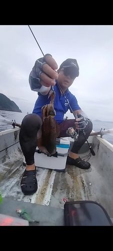 小浜湾