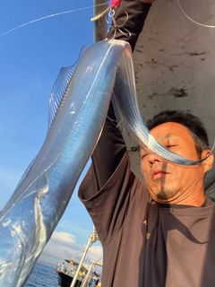 タチウオの釣果