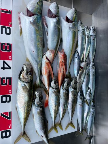 日立沖
