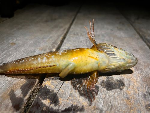 小名浜港アクアマリンふくしま周辺