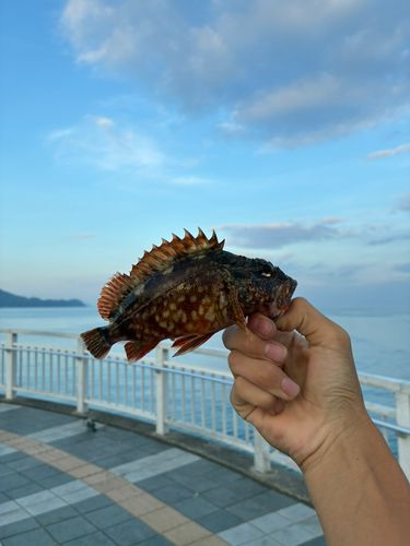和歌浦湾