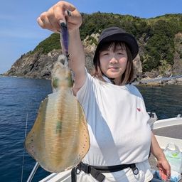 アオリイカ