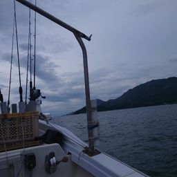 イサキ