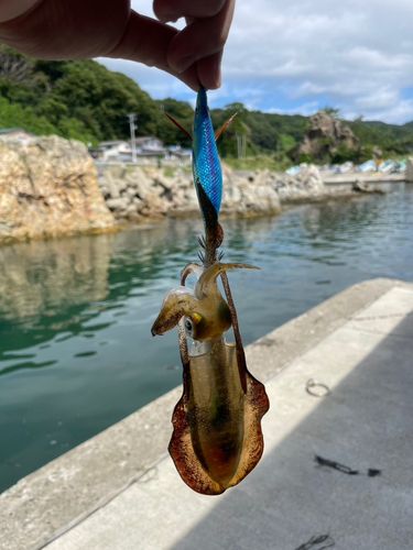 男鹿半島