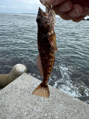 釣果