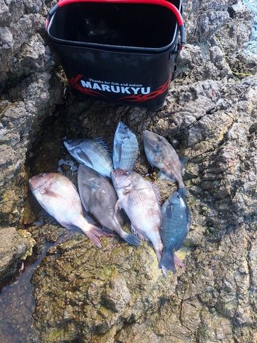 三厩湾