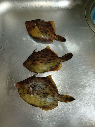 小名浜港アクアマリンふくしま周辺