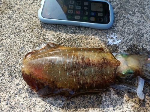 津軽半島