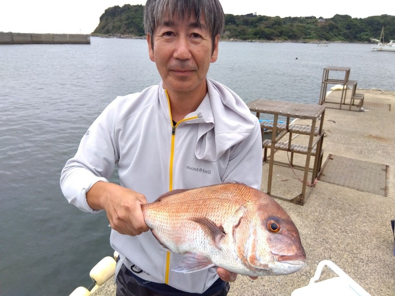 マダイ