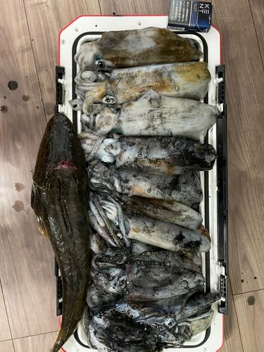若狭湾
