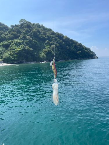 和歌浦湾