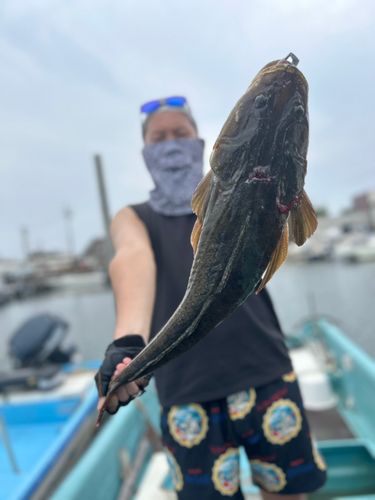表浜名湖