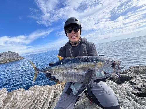 キメジの釣果