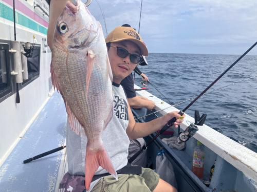 マダイの釣果