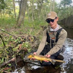 ブラウントラウト