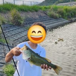 ブラックバス