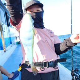 ショウサイフグ