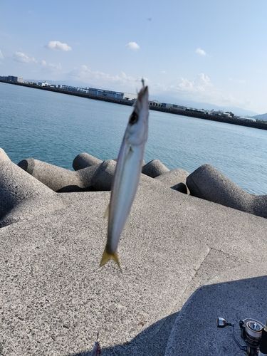 伊予港