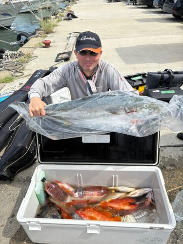 クエの釣果