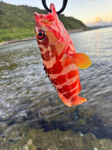 沖縄本島北部
