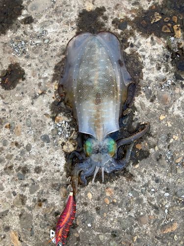 秋田火力発電所前