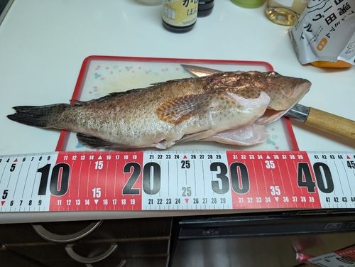 鹿児島湾北部