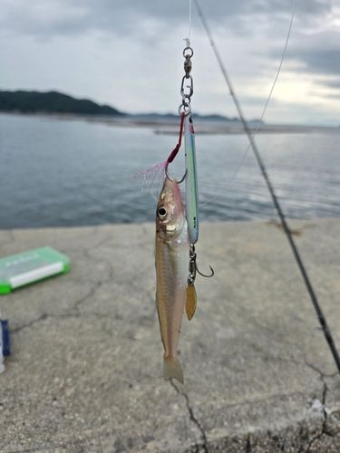 広島湾