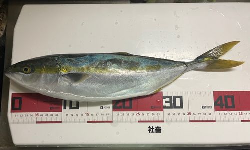 鬼ヶ城