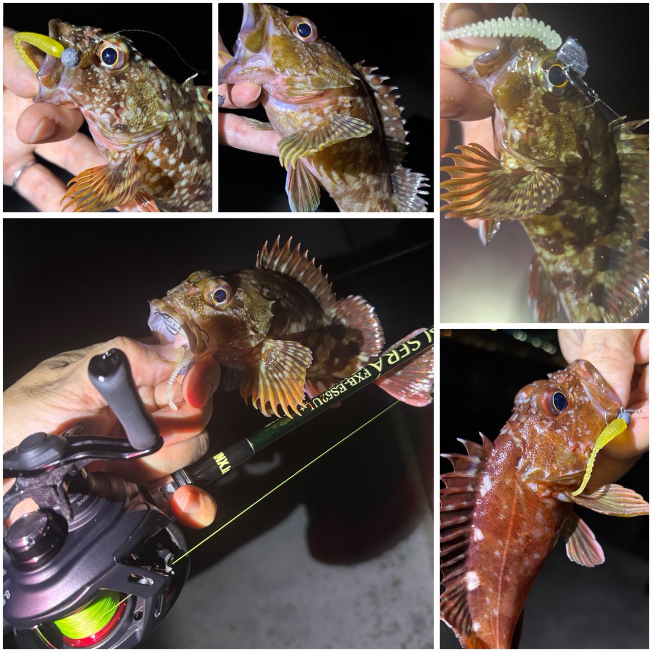 タチウオ