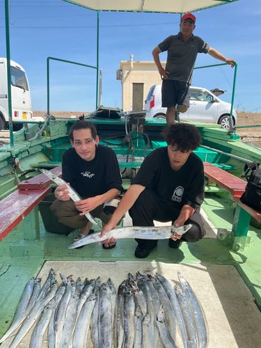 タチウオの釣果
