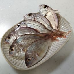 チャリコ