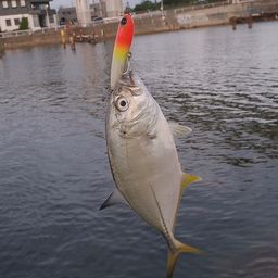 メッキ