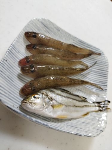 伊勢湾湾奥