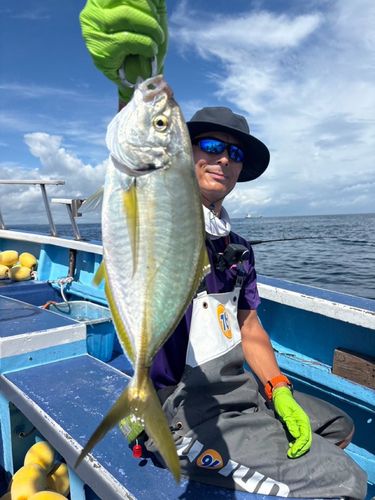 シマアジの釣果