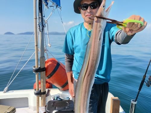 ハモの釣果