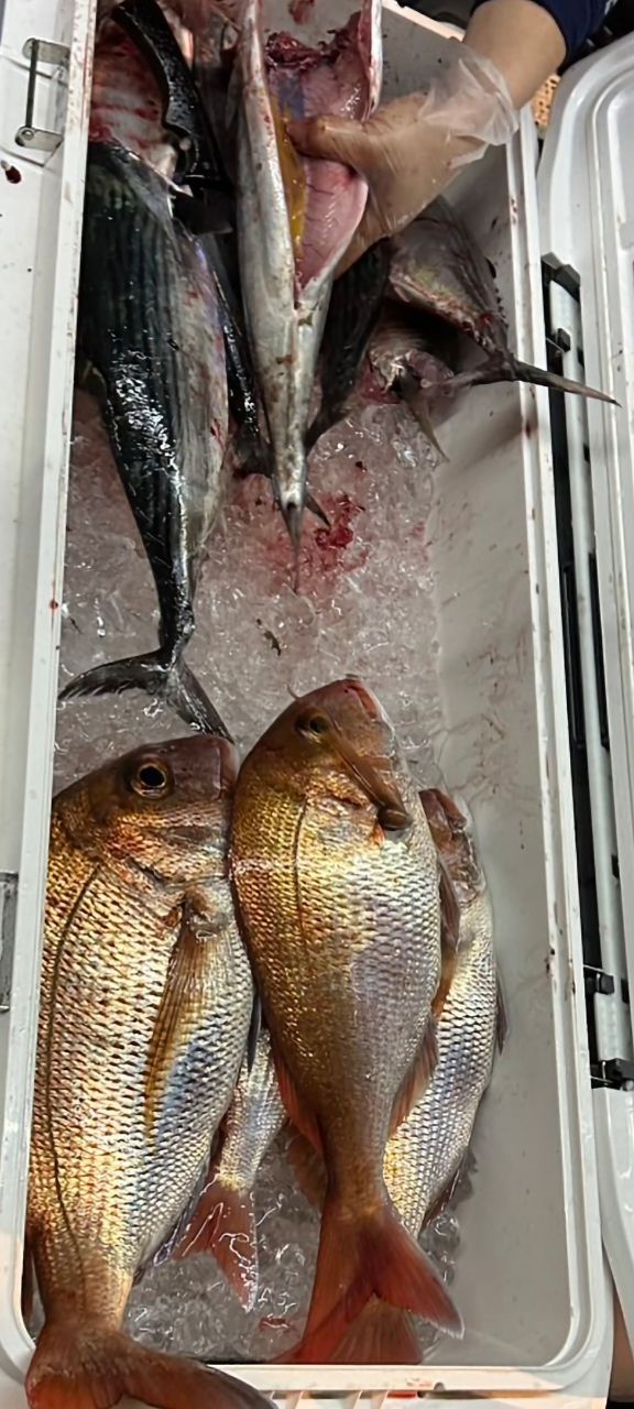 まつ(*´-ω・)さんの釣果 1枚目の画像