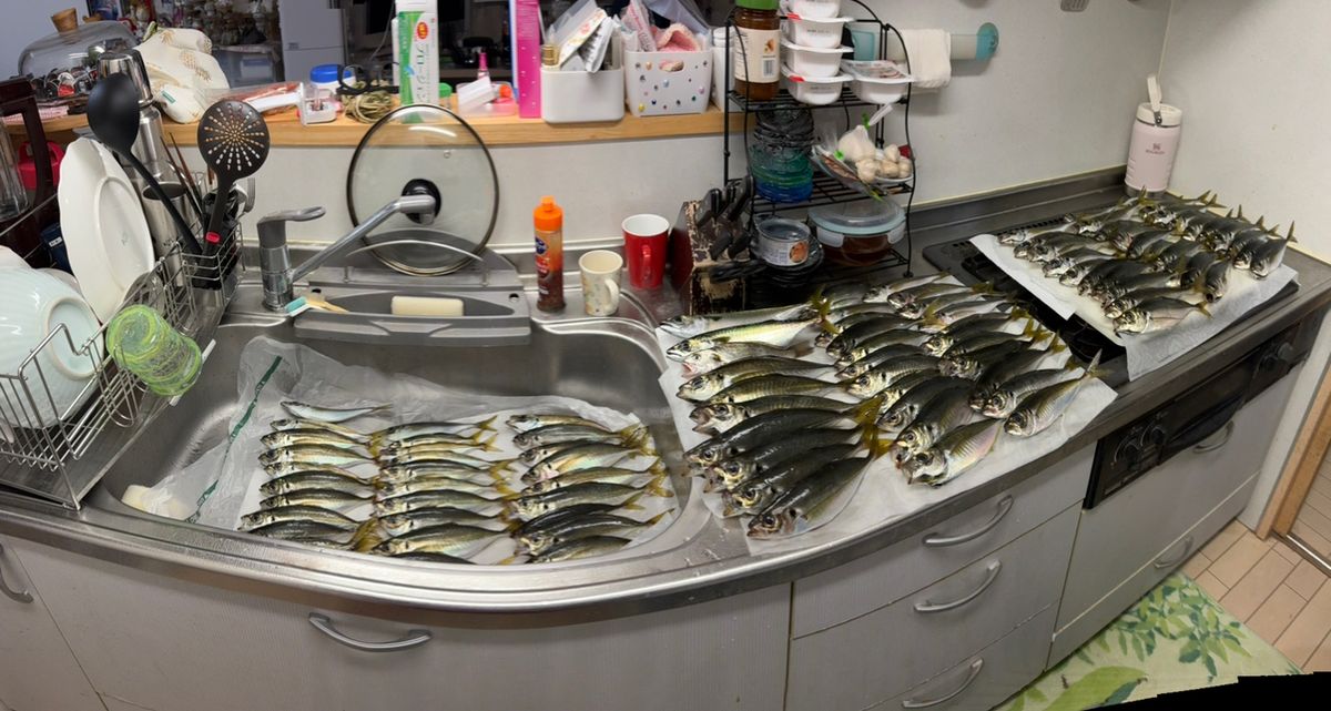 sajpmkgさんの釣果 2枚目の画像