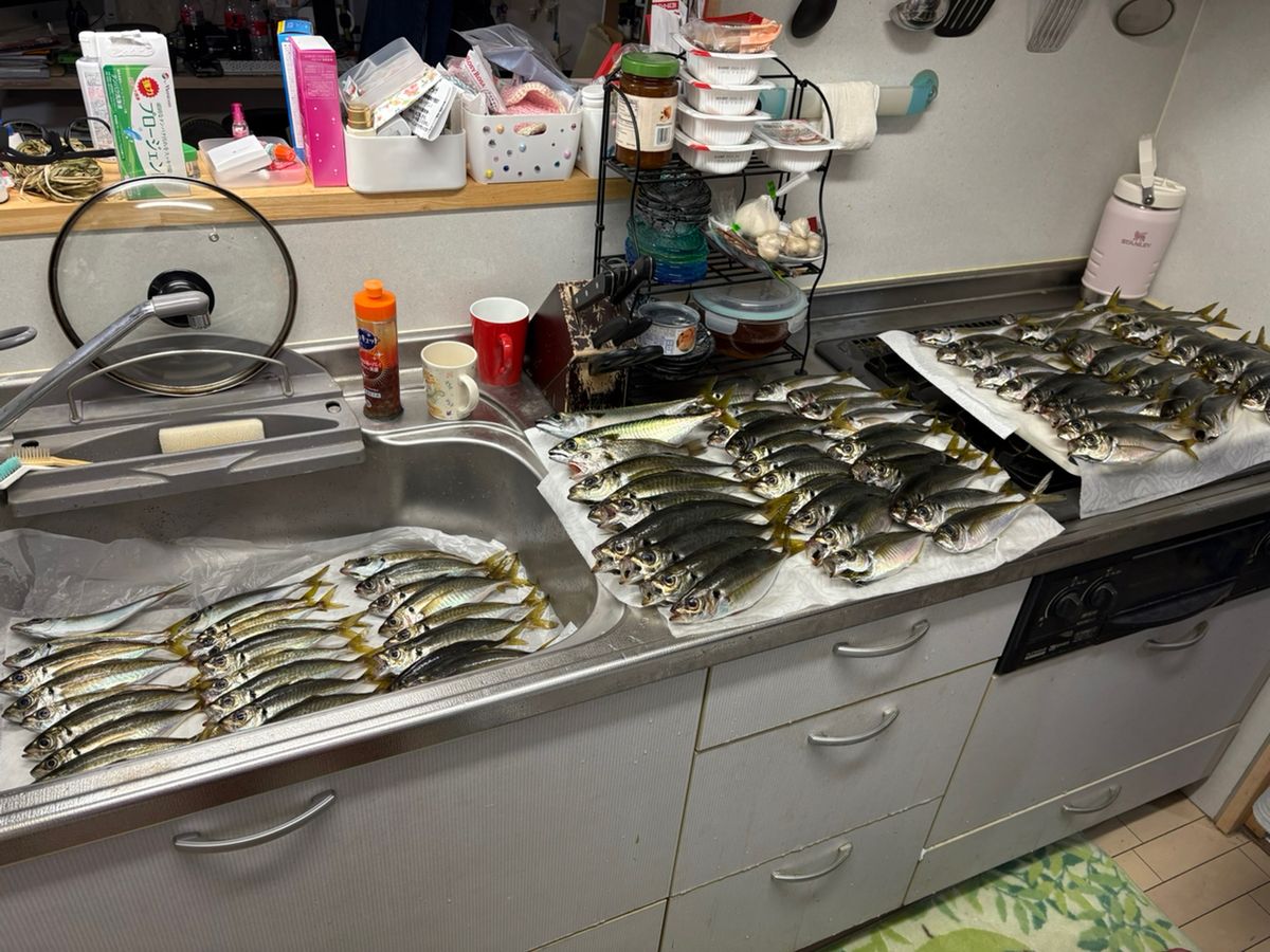 sajpmkgさんの釣果 3枚目の画像