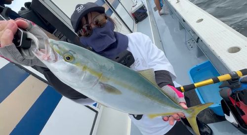 イナダの釣果