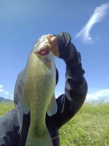 岐阜県南部
