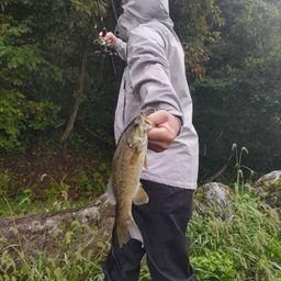 スモールマウスバス