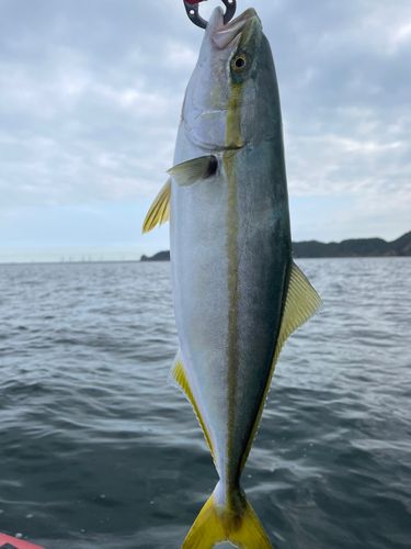 新舞子海岸（富津）