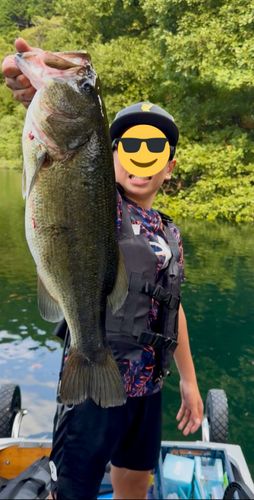 ブラックバスの釣果