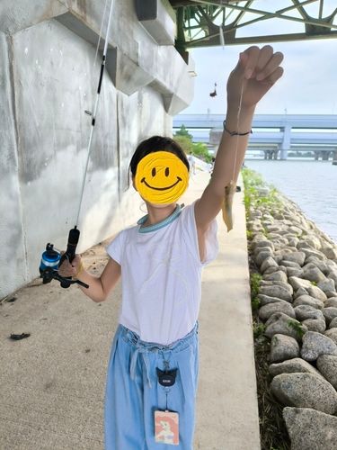 武庫川河口