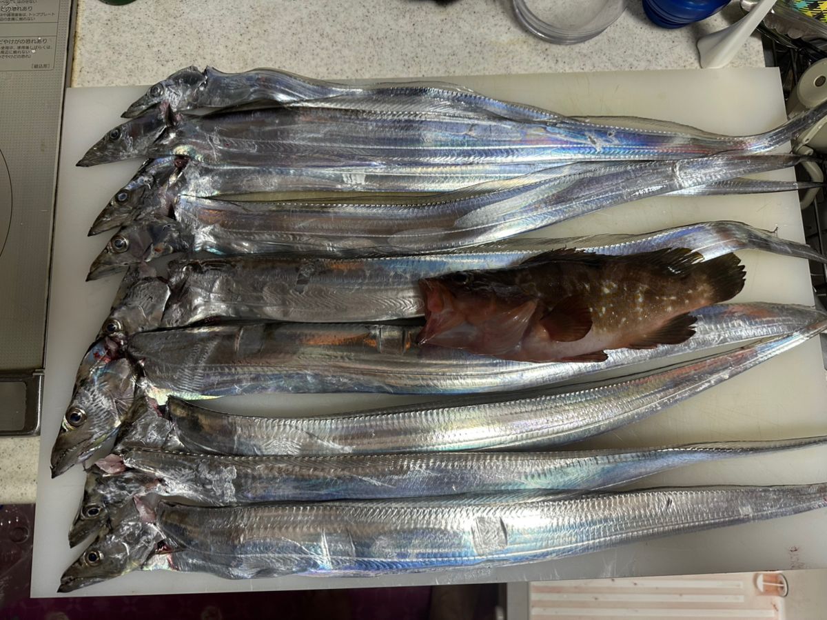 銀狼229さんの釣果 1枚目の画像