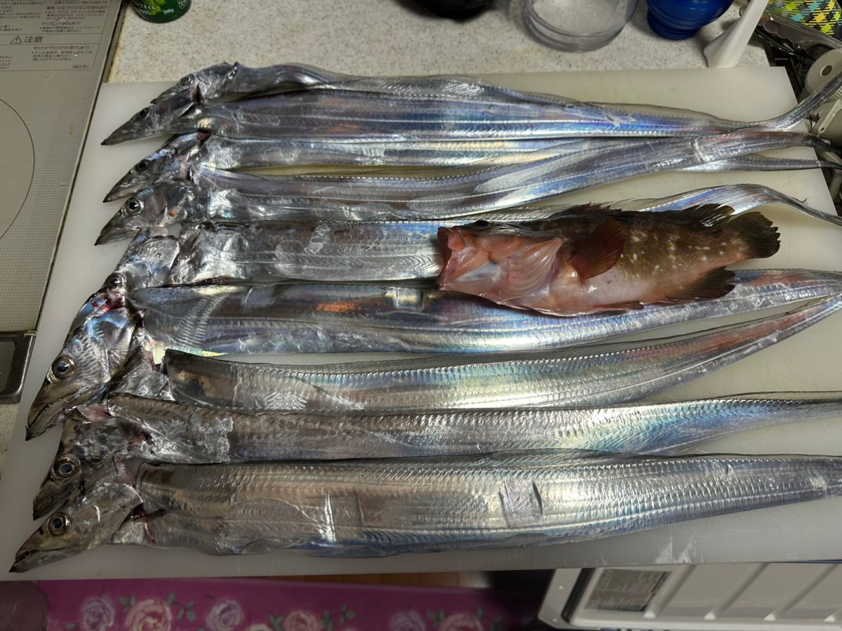 銀狼229さんの釣果 2枚目の画像