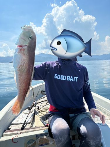 シロアマダイの釣果