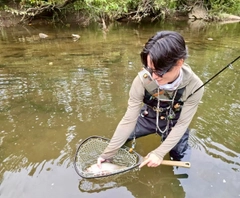 ニジマスの釣果